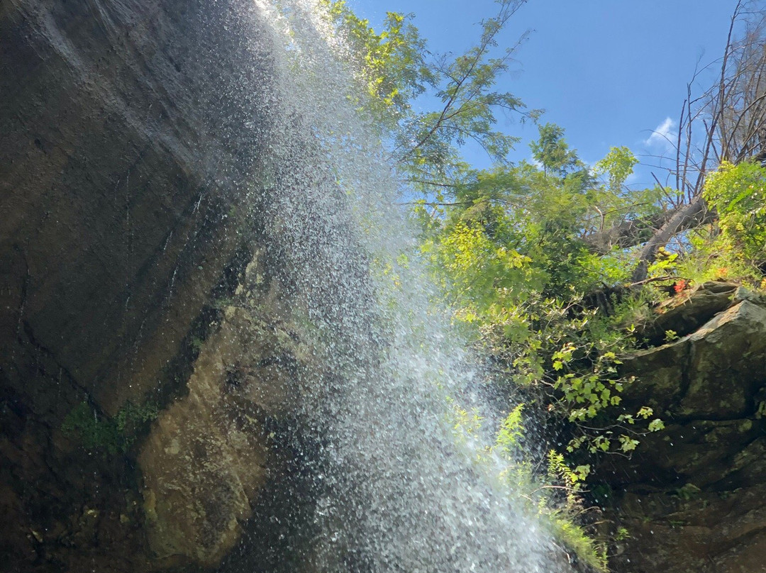 Broke Leg Falls-Wellington必去景点