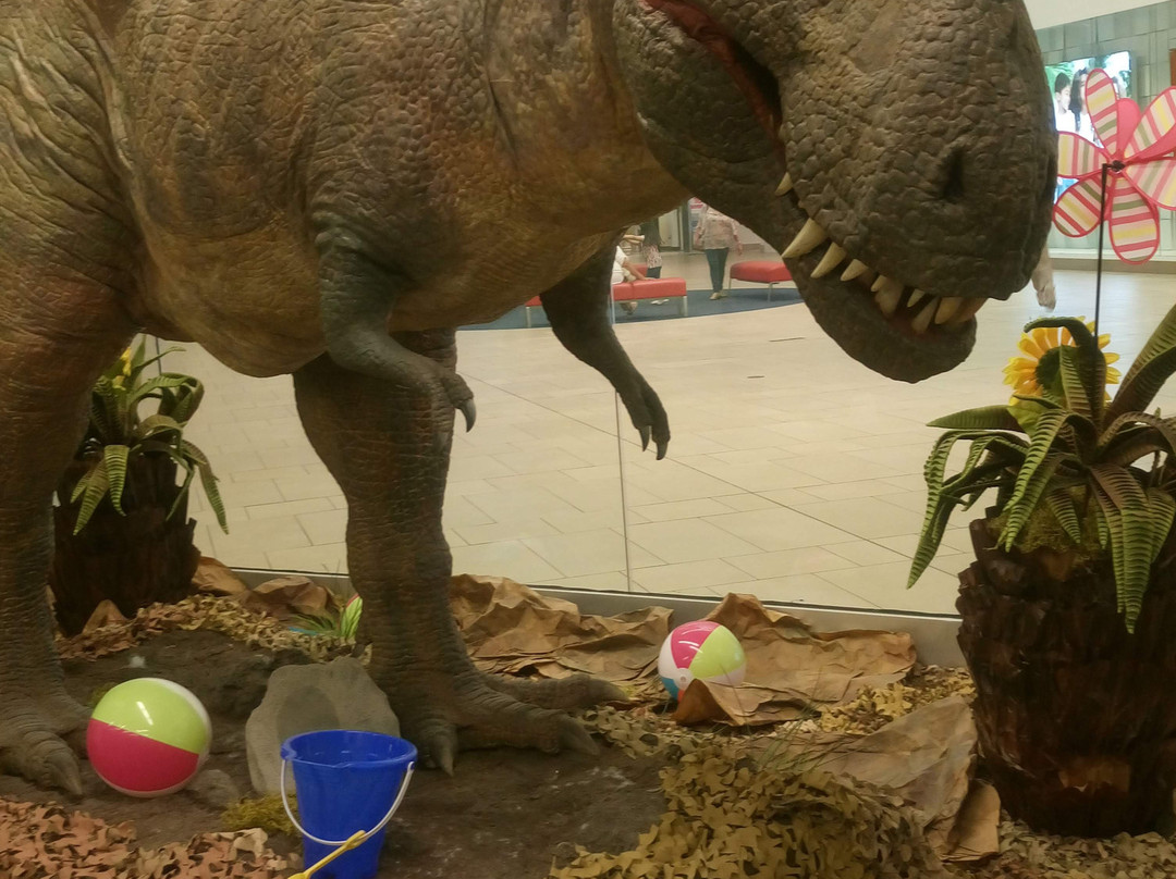 Imaginarium of South Texas-拉雷多必去景点