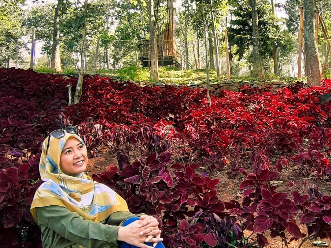 Wana Wisata Negeri Bambu景点图片