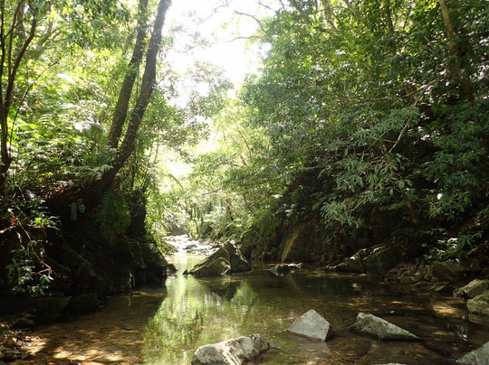 HABU ASOBI-名护市必去景点