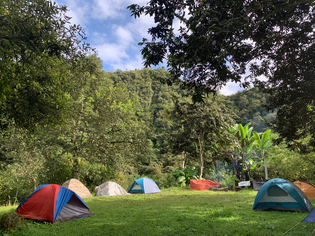 Finca Orgánica San Antonio