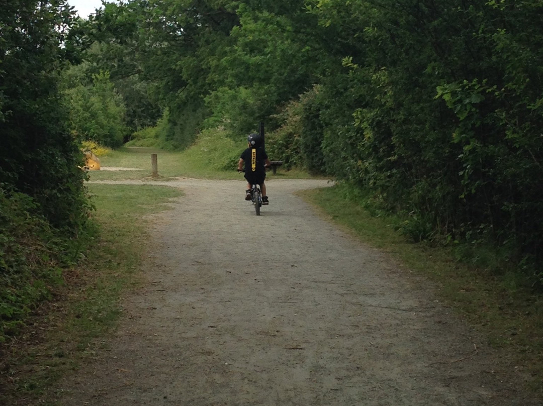 Great Notley Country Park景点图片