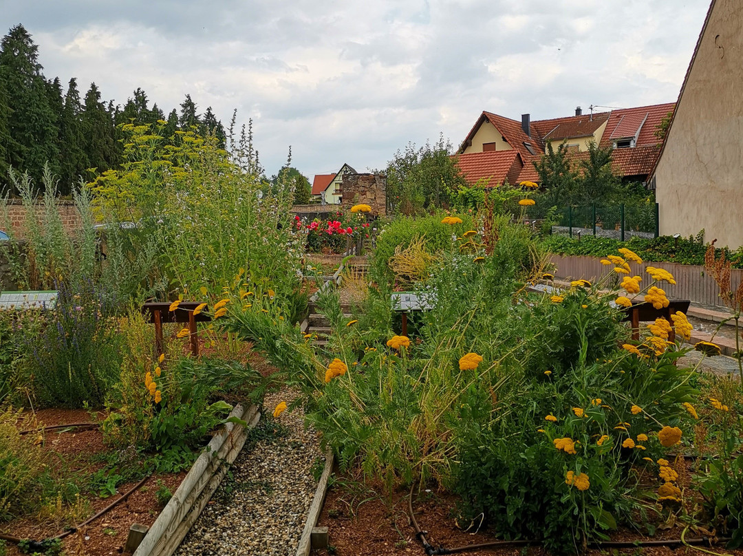 Mittelalterlicher Garten-Rosheim必去景点