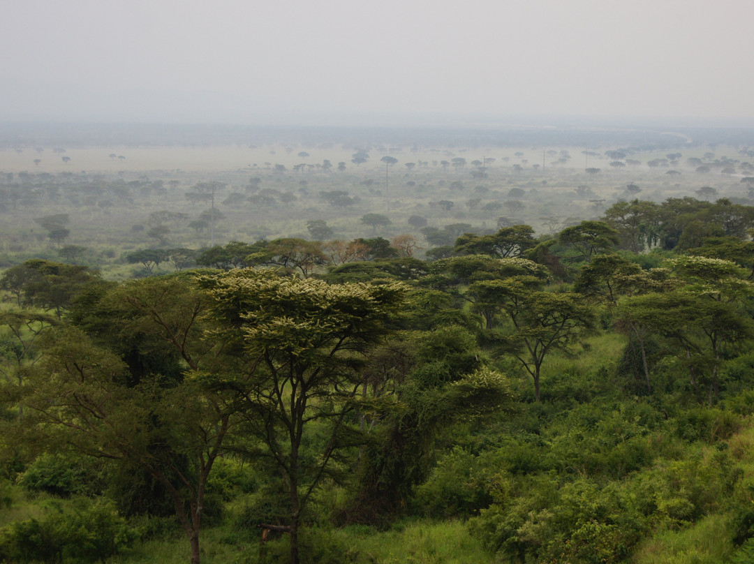 Parkview野生动物园旅馆主图