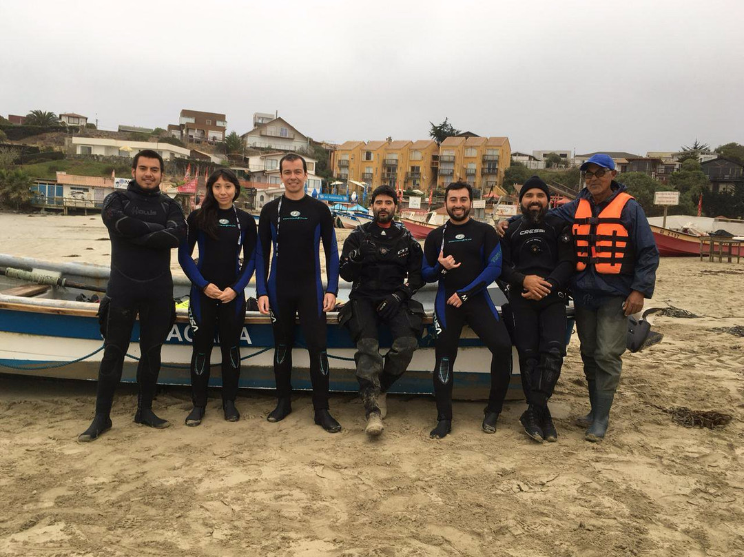 Scuba Adventure-Los Molles必去景点