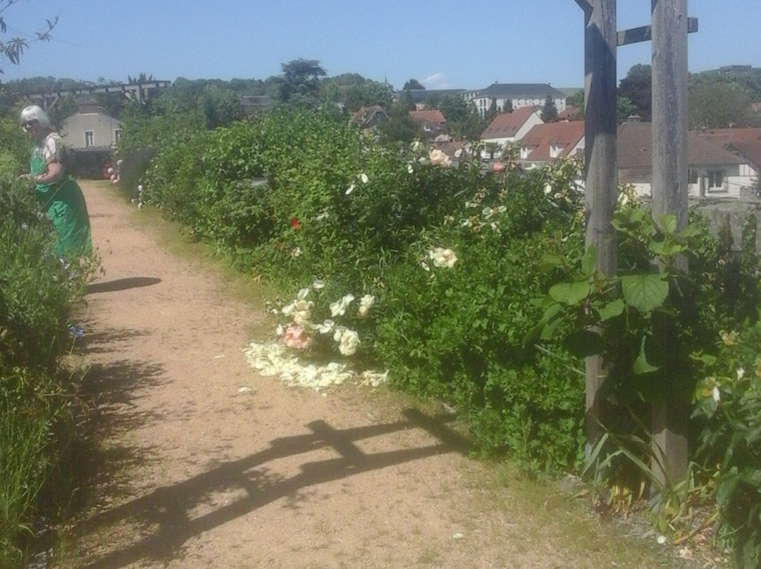 Jardin Riomet景点图片