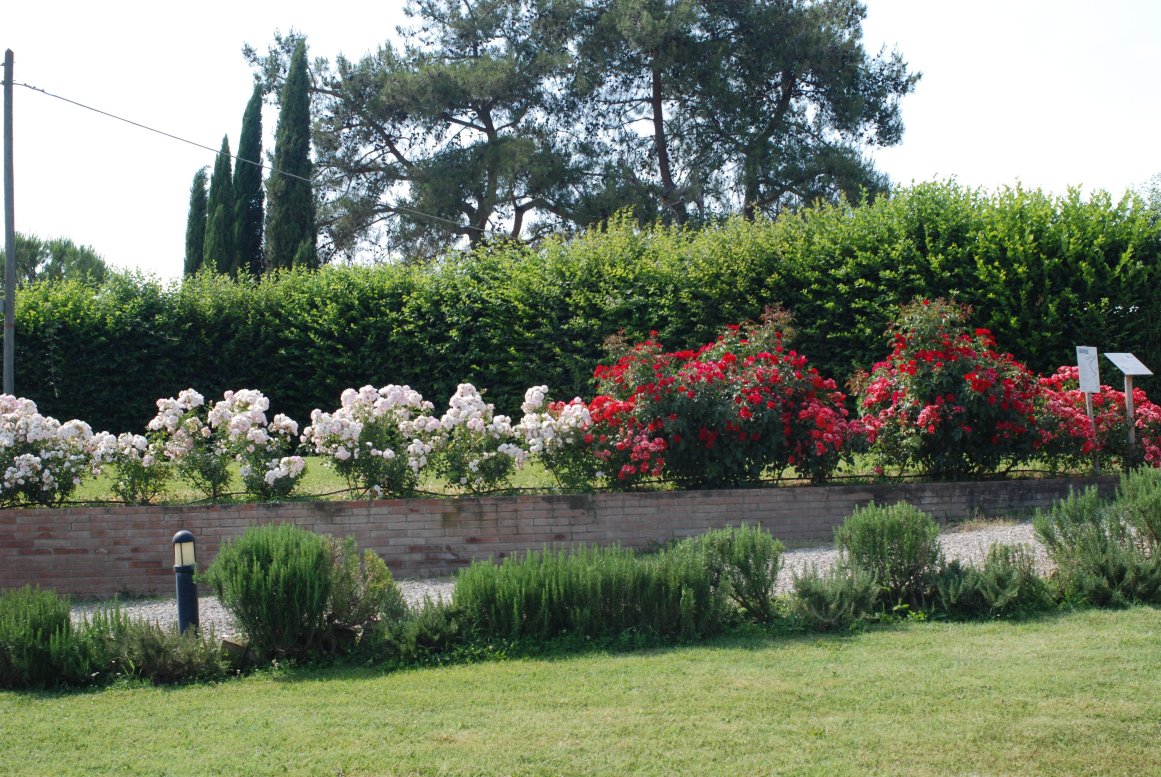 Agriturismo San Fabiano-浴室