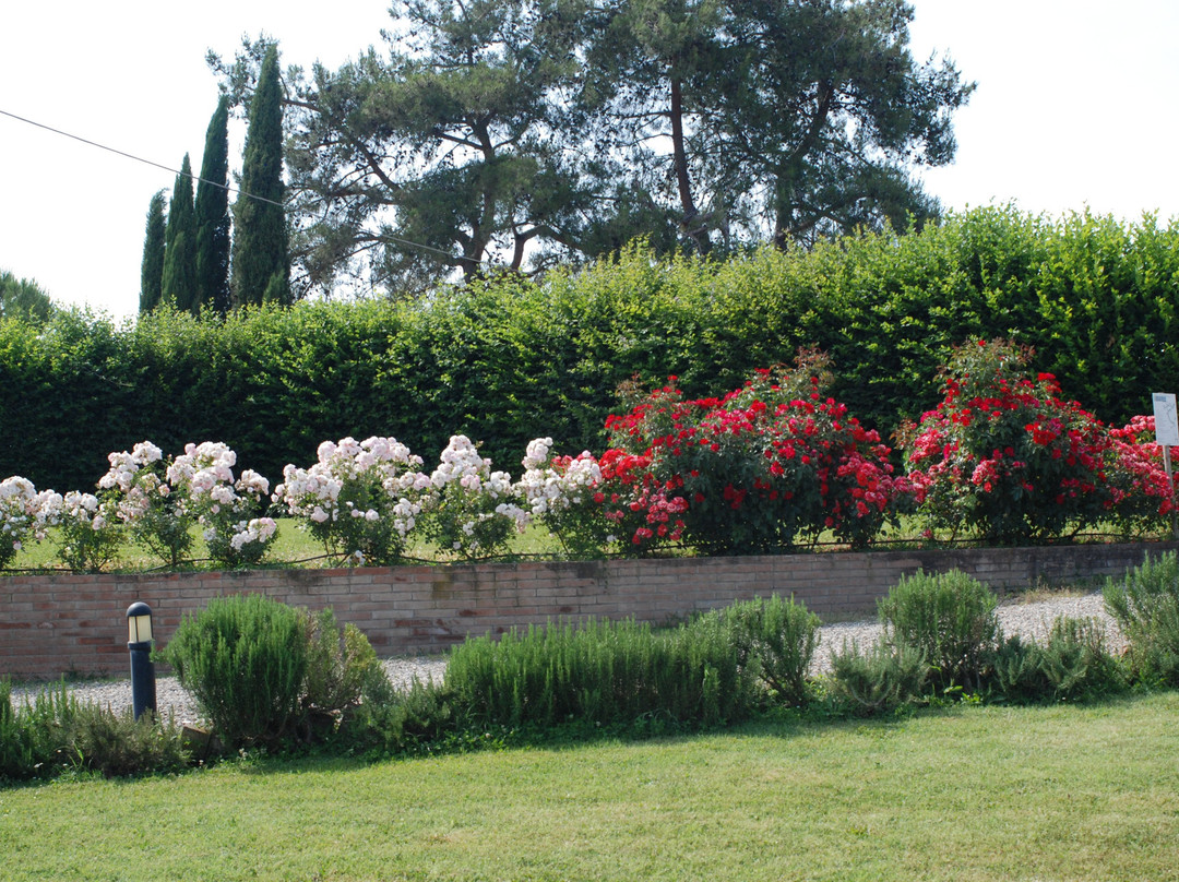 Agriturismo San Fabiano主图