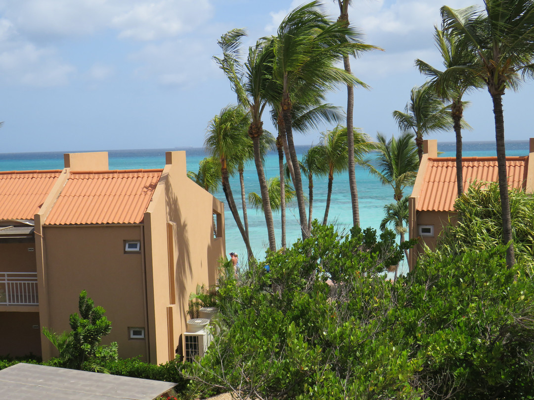 Divi Dutch Village Beach Resort主图