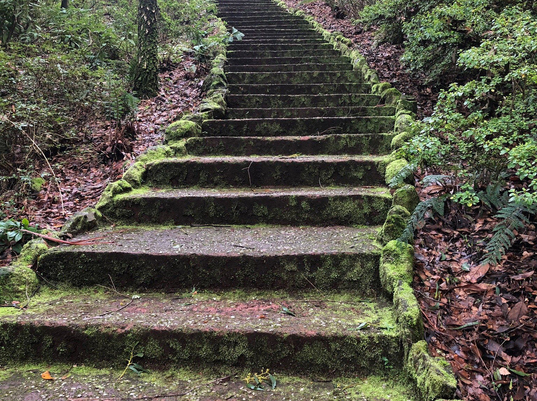 Forest Glade Gardens-马其顿山必去景点