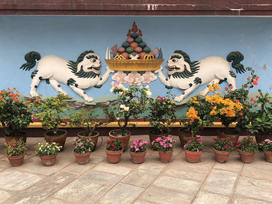 Kagyu Institute of Buddhist Studies-Kirtipur必去景点