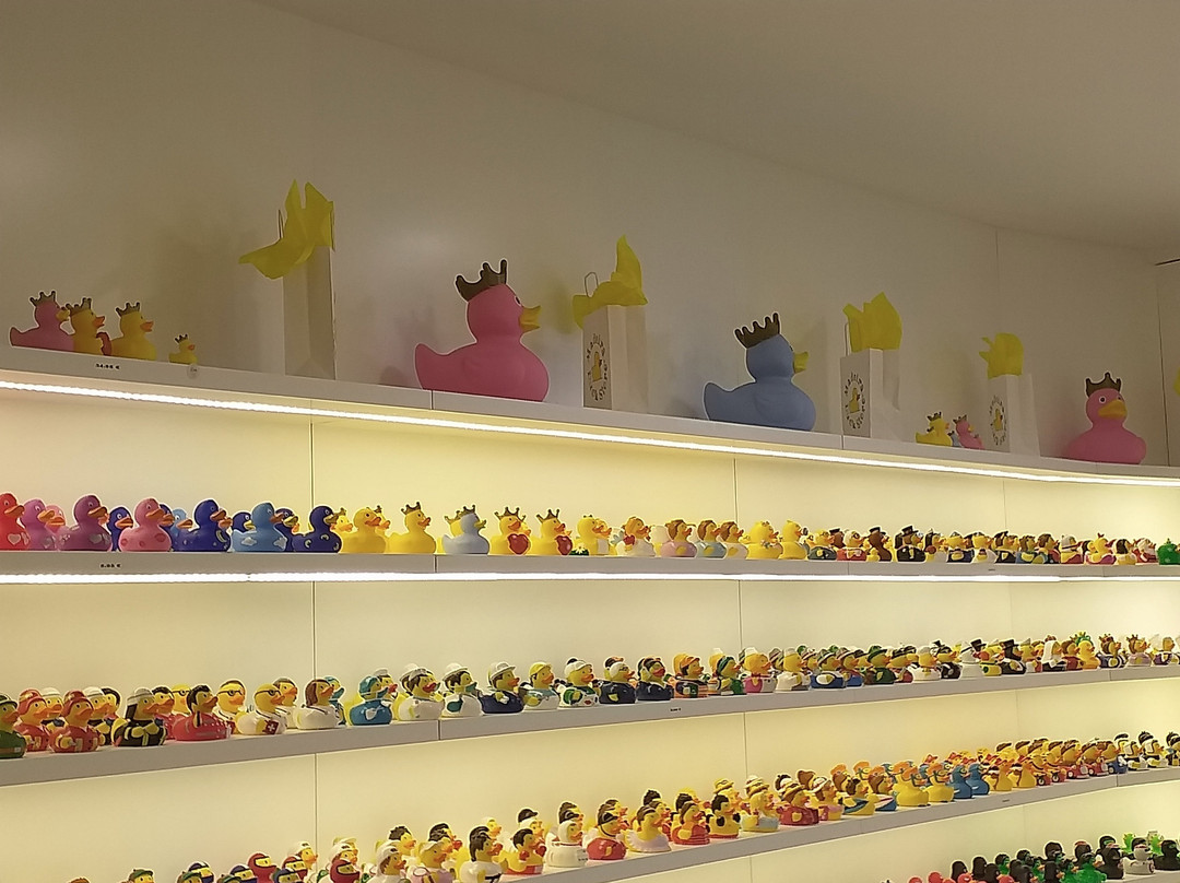 Madeira Duck Store
