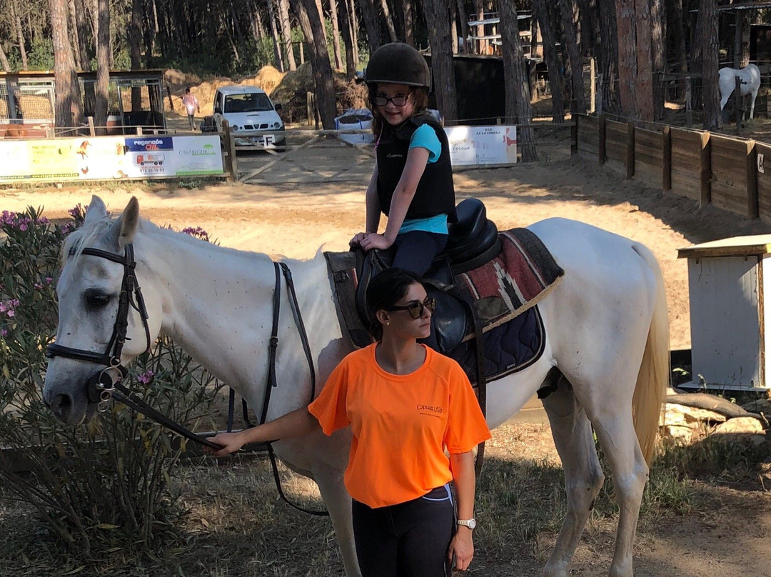 Hipica Begur Excursions a Caballo景点图片