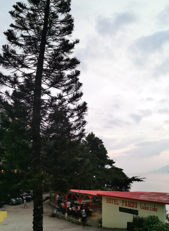 Hotel Pandu Lakeside Parapat主图