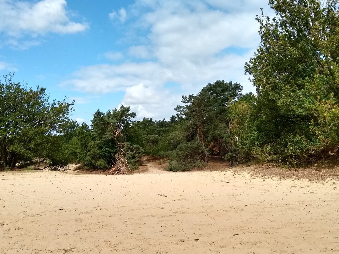 Vakantie Huisjes Duinrand Drunen