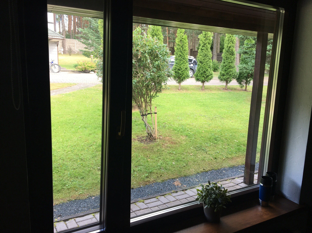 Guest House Pskov主图