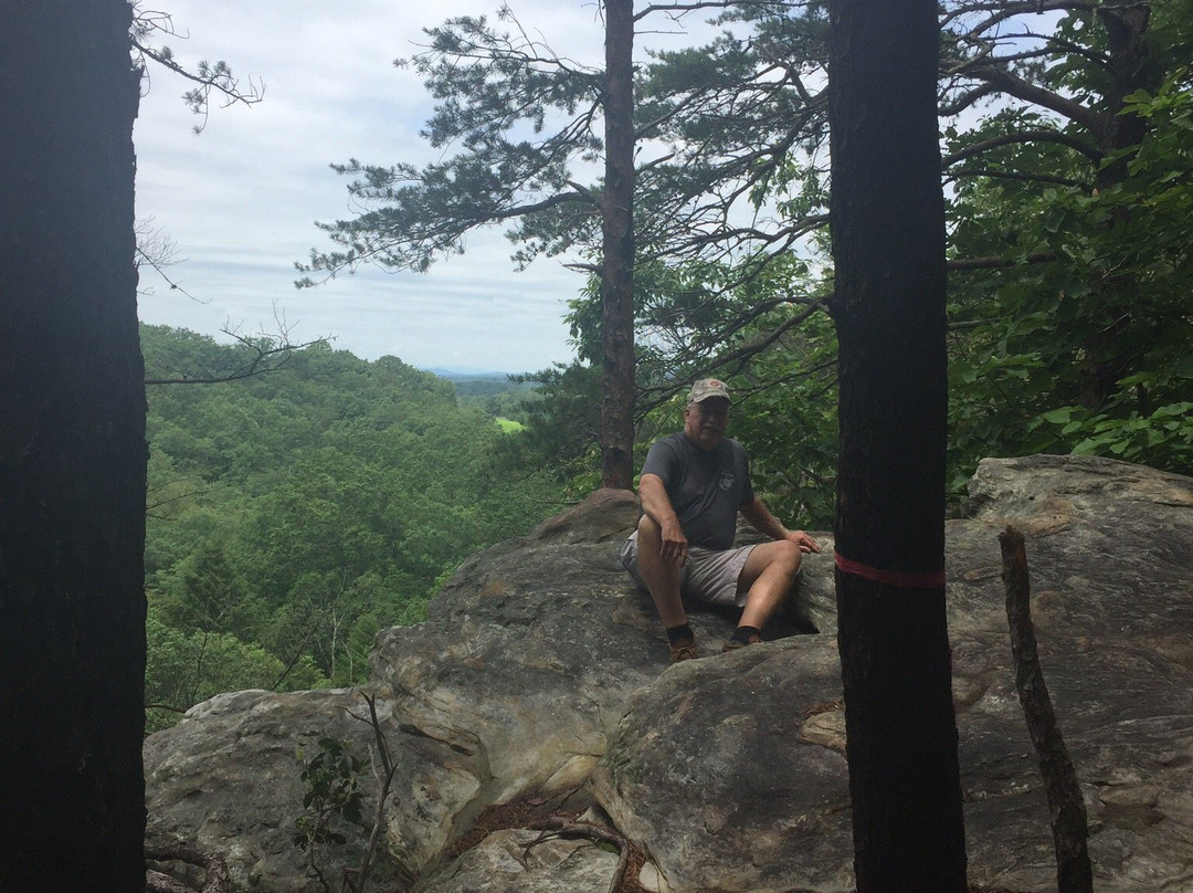 Hanging Rock State Park景点图片