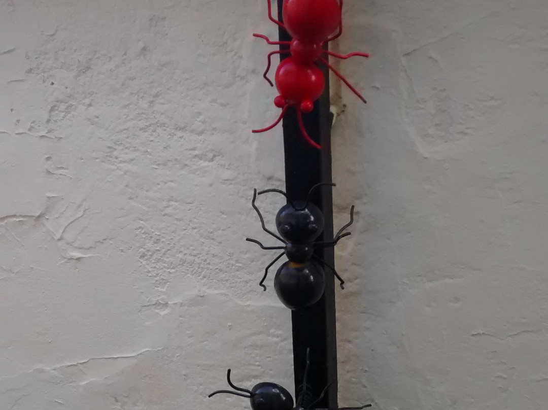 Plaza De La Encina主图