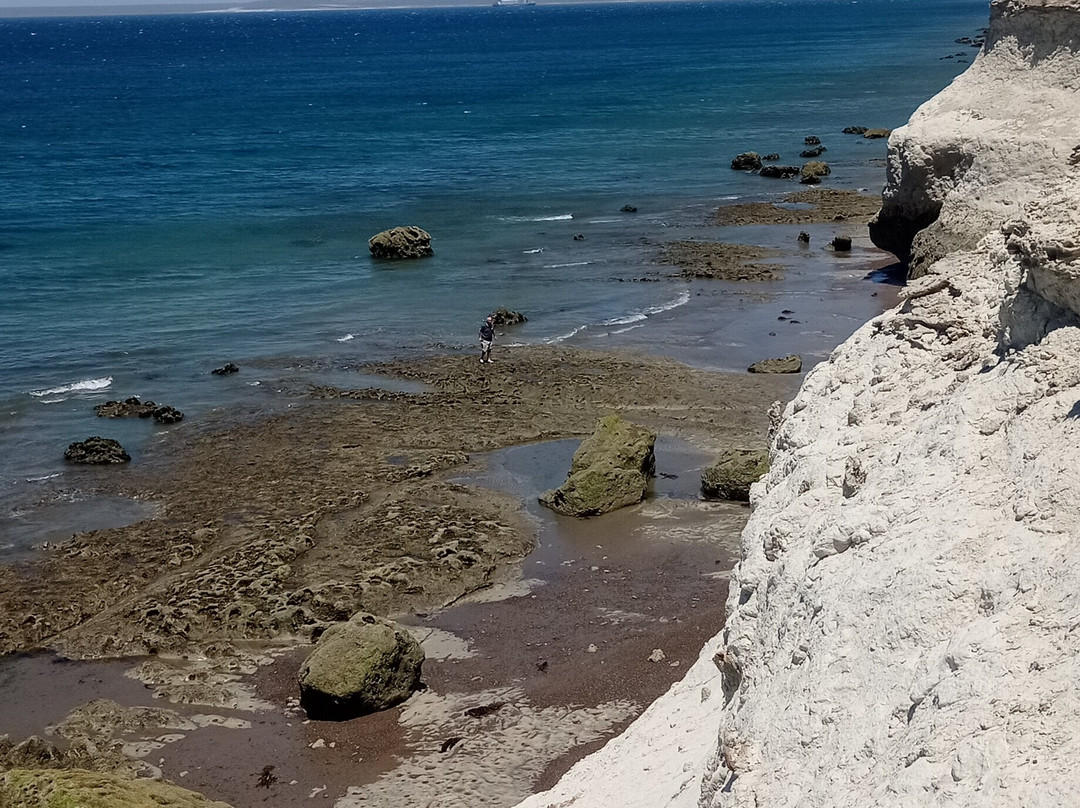 Playa Manara景点图片
