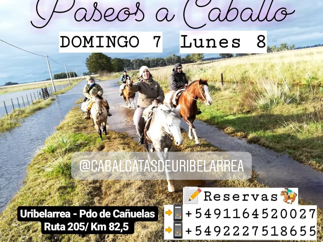 Cabalgatas De Uribelarrea景点图片