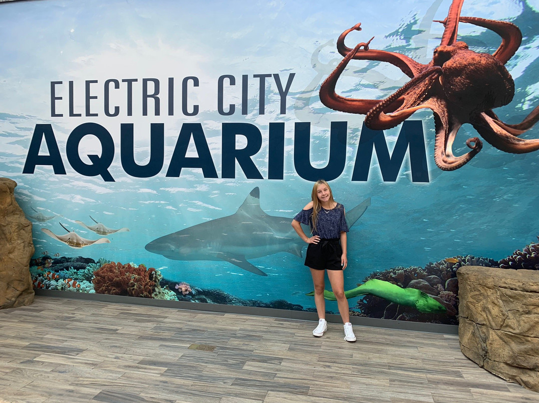 Electric City Aquarium & Reptile Den景点图片