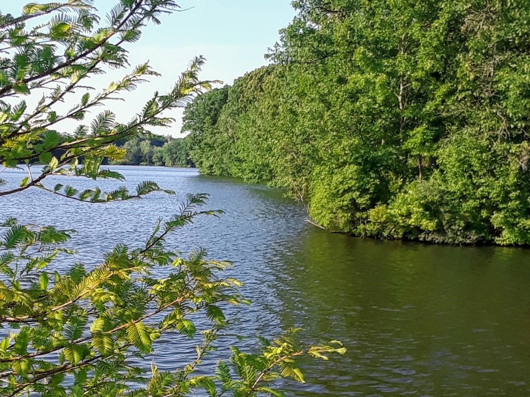 Union Pond Park-曼彻斯特必去景点
