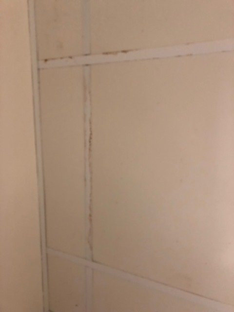 Hotel Cala Santanyi & Apartamentos主图