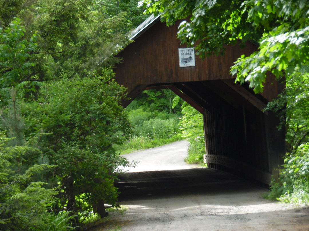 Blow-Me-Down Bridge-Cornish必去景点