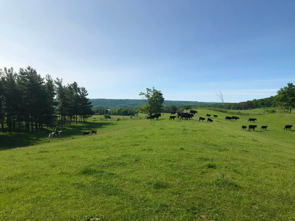 Rawhide Adventures-Mulmur必去景点