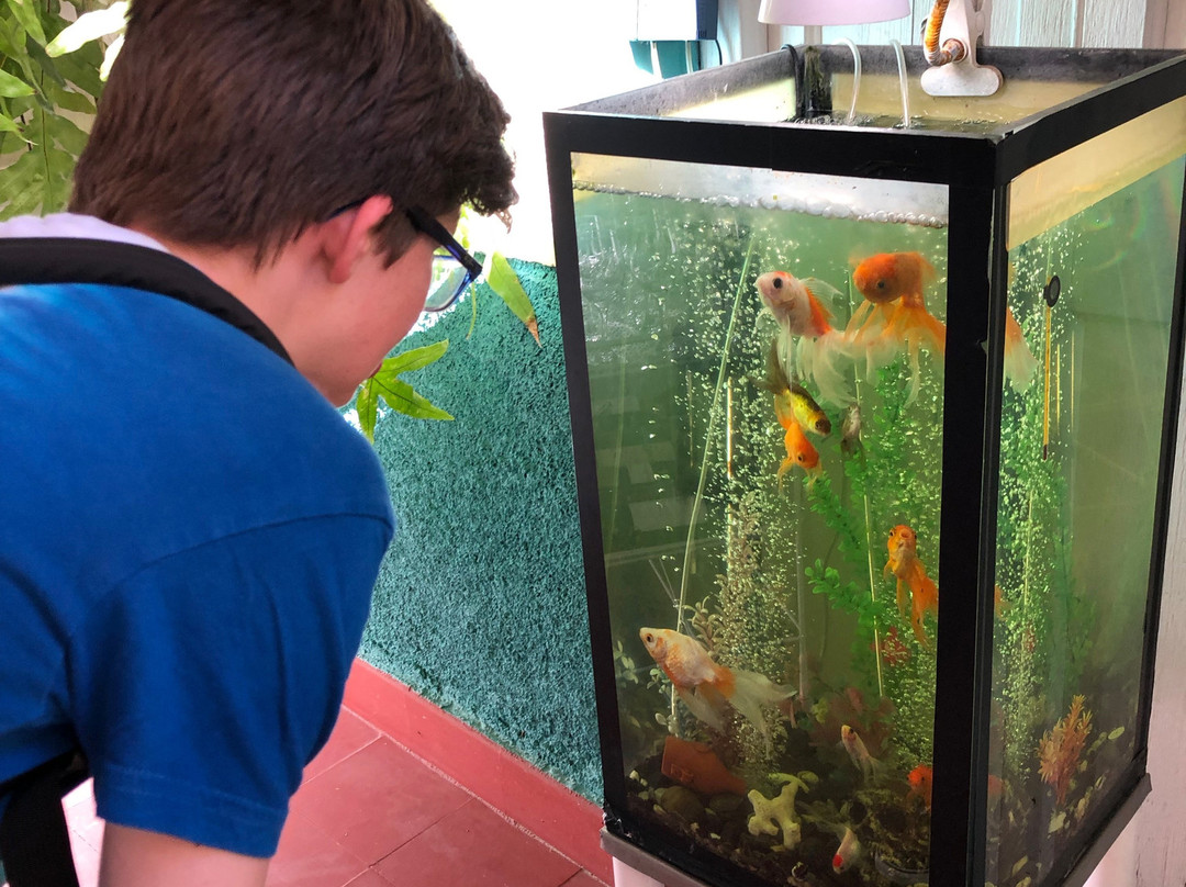 Hostal Dona Natalia主图