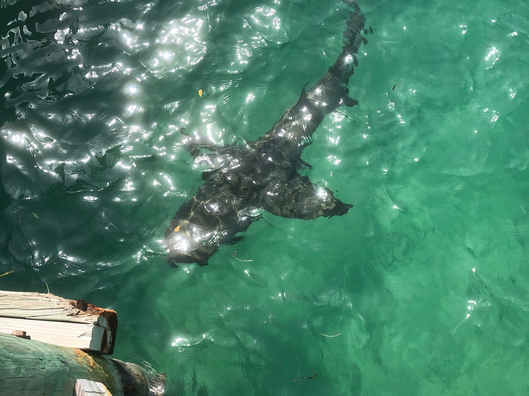 Spanish Cay Resort主图