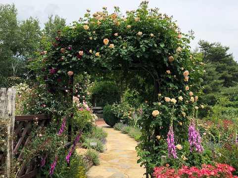 Yume Harvest Farm-小诸市必去景点