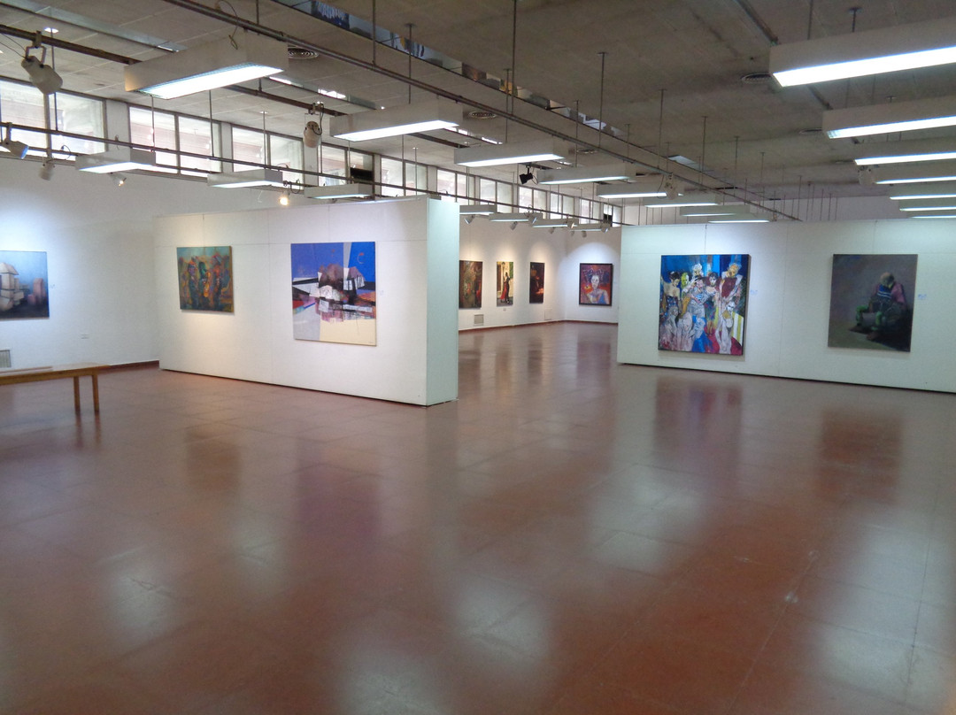 Museo Nacional de Bellas Artes景点图片