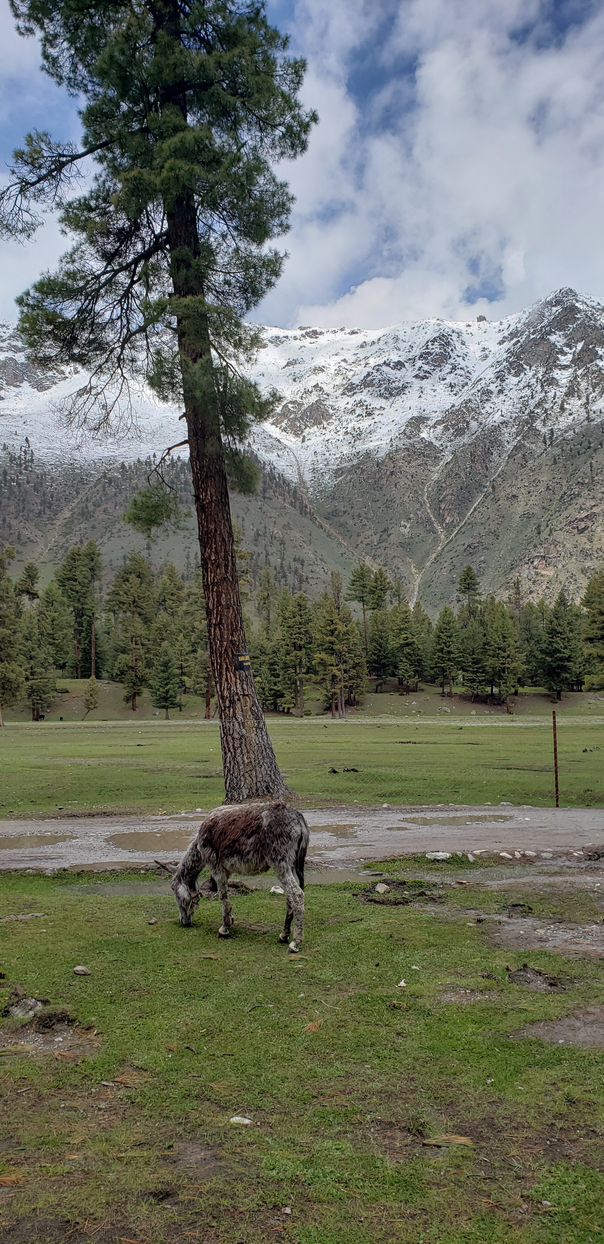 PTDC Motel, Rama Lake-官方