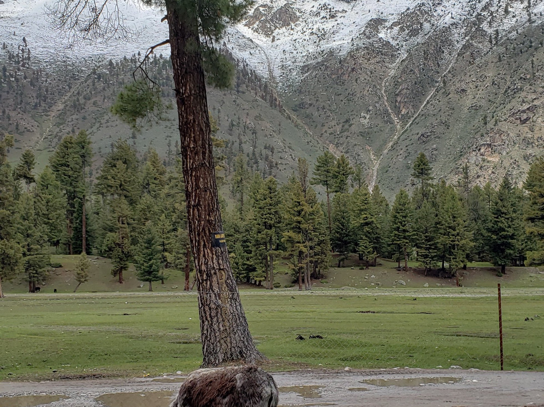 PTDC Motel, Rama Lake主图