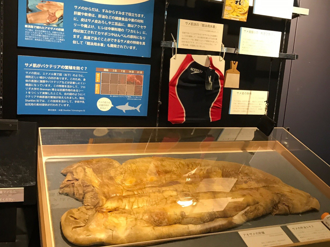 Hyogo Prefectural Operated Human and Nature Museum-三田市必去景点