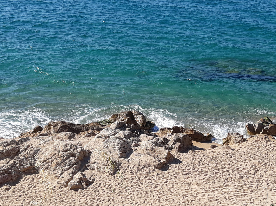 Hotel Checkin Catalonia主图