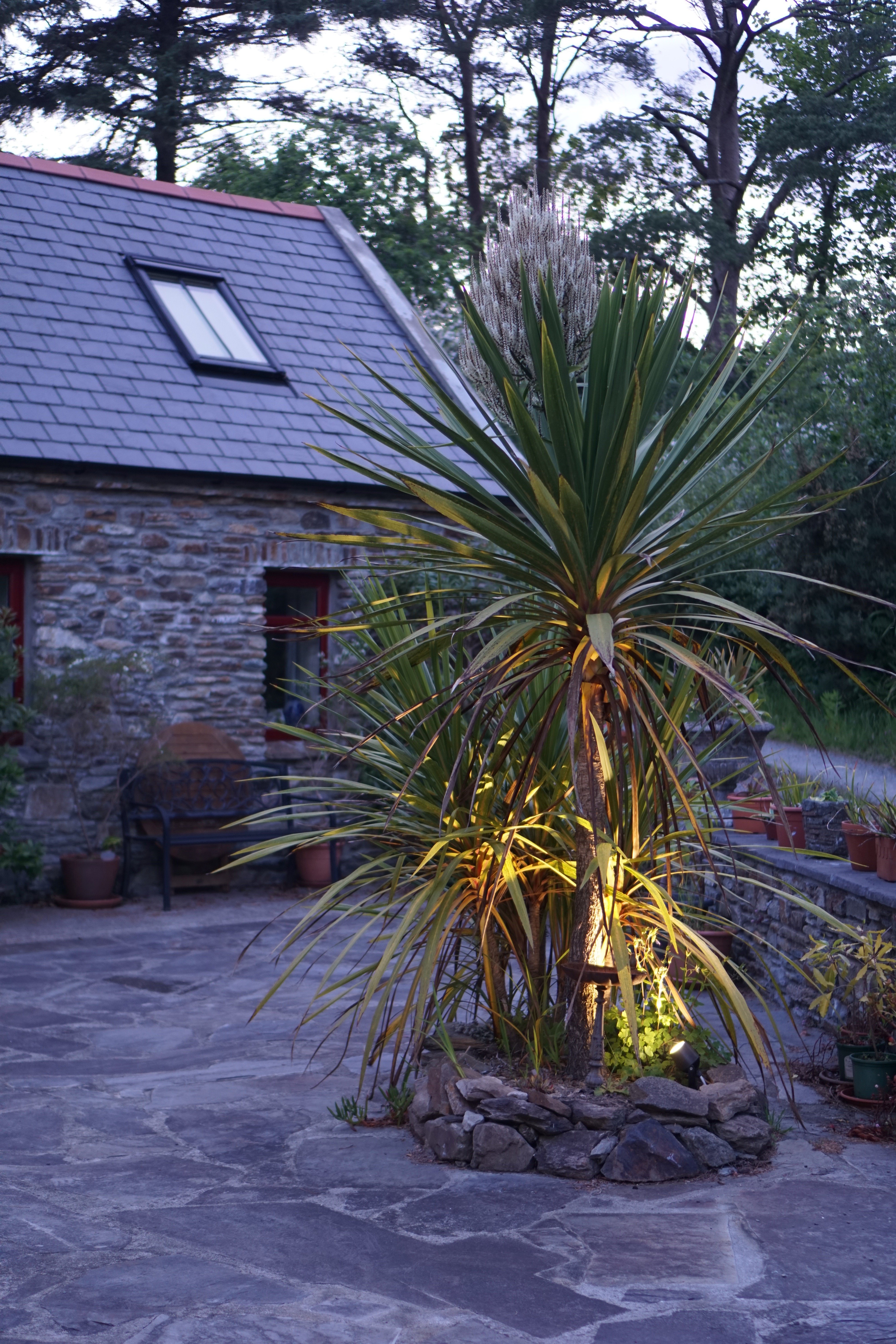 Ballycommane House & Garden-portrait