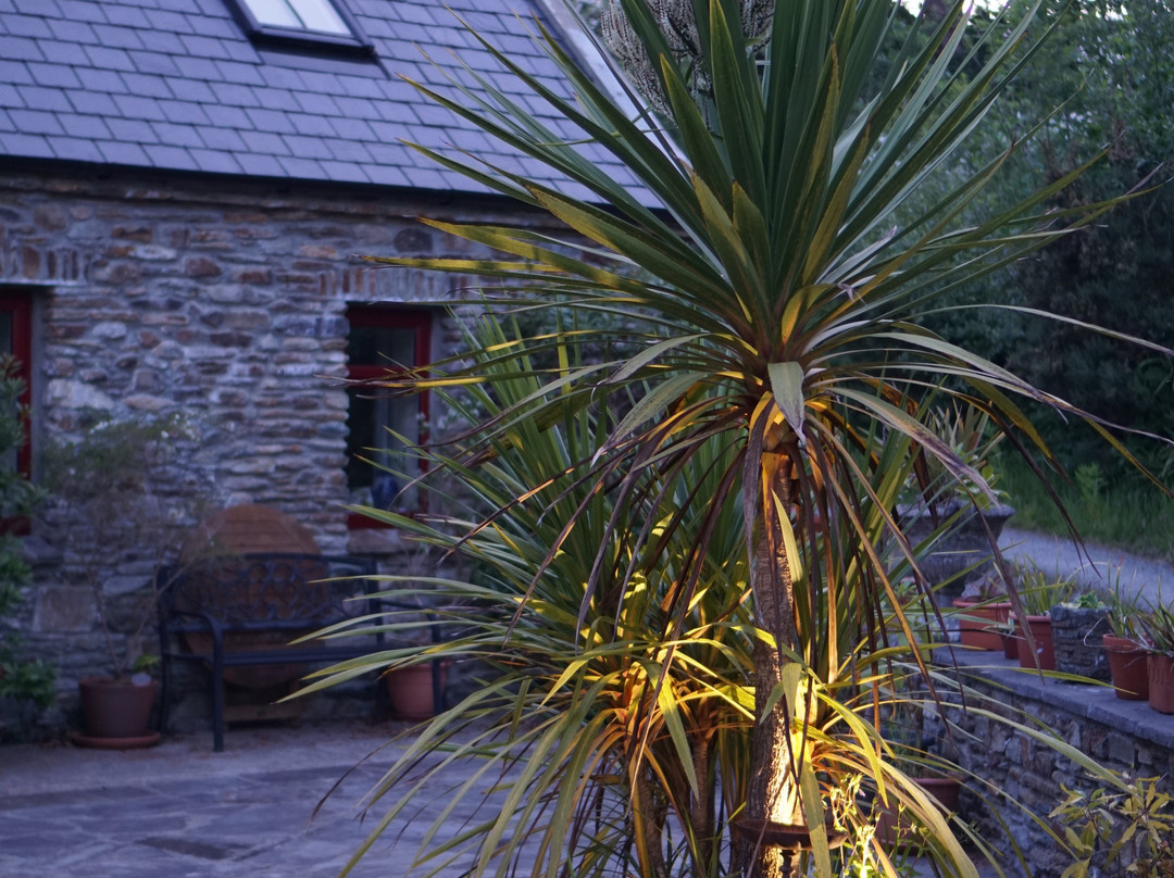 Ballycommane House & Garden主图