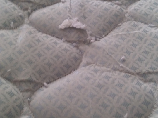 Super 8 by Wyndham Mobile主图