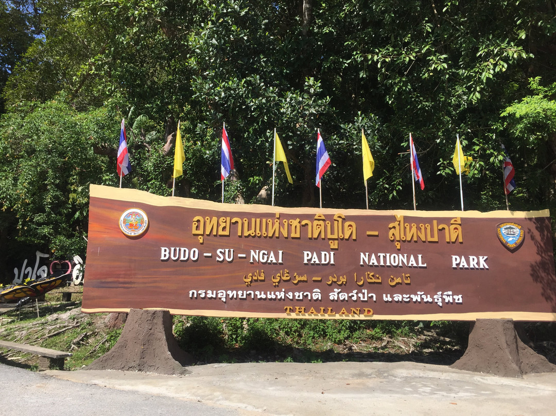 孔槟榔旅游攻略图片