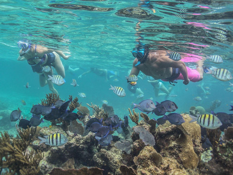 Boat Mexico-阿范特拉斯港必去景点