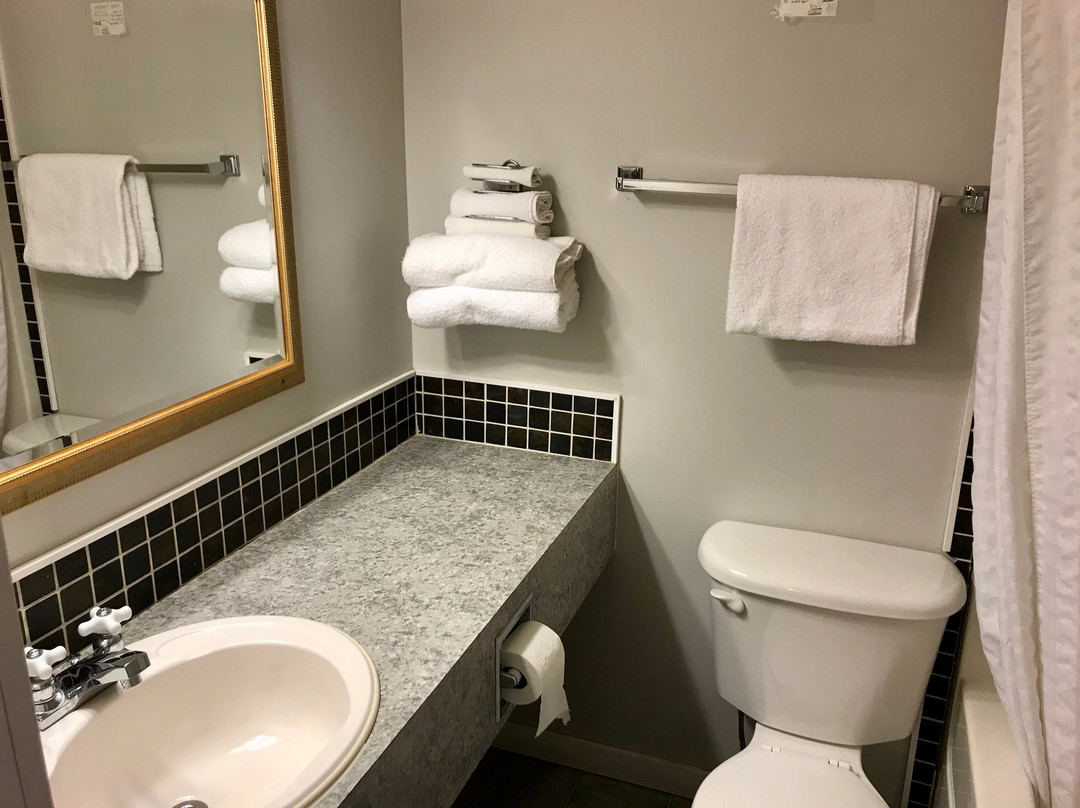 Tel Star Motel主图