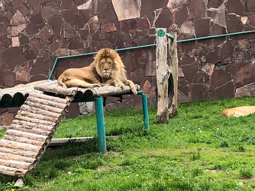 Almaty Zoo-阿拉木图必去景点