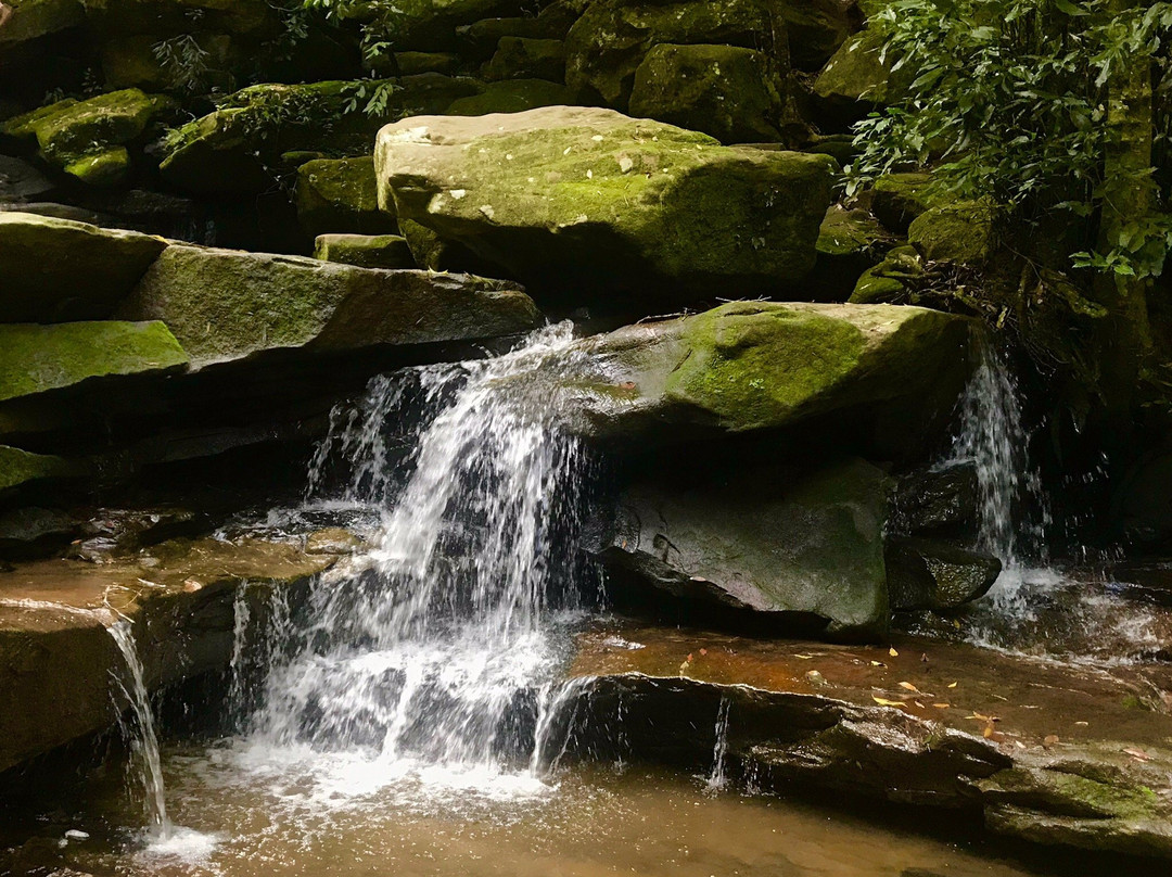 Somersby Falls Picnic Grounds景点图片