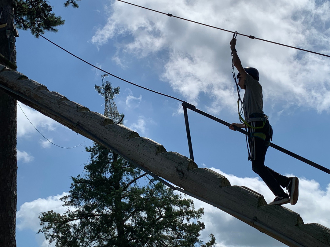 Thomas Falls Zipline Challenge Course-Diana必去景点