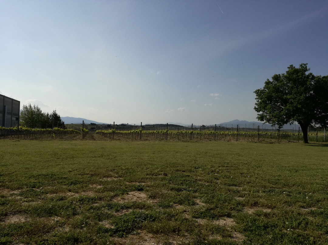 Papagiannakos Winery-Markopoulo Mesogeas必去景点