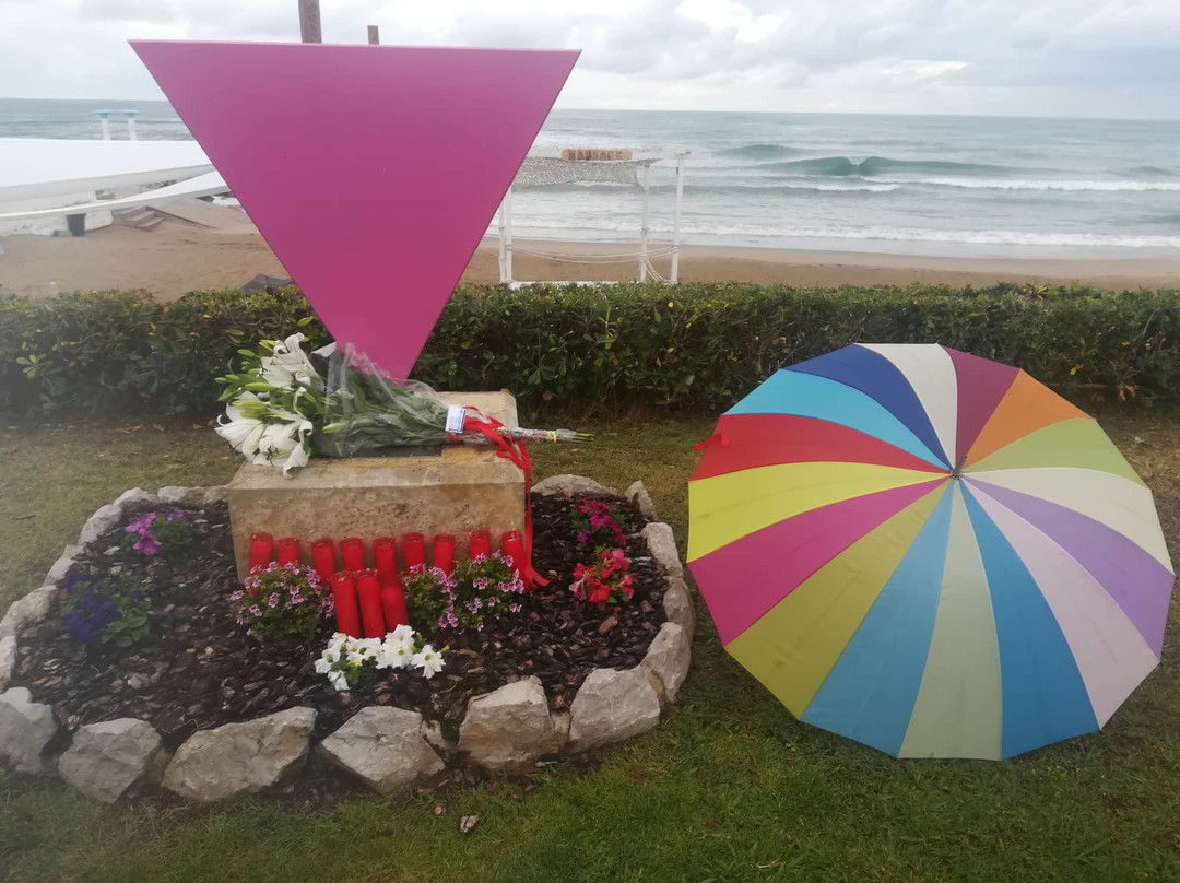 Pink Triangle Monument Against Homophobia景点图片