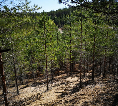 Puuvuori-Ylojarvi必去景点