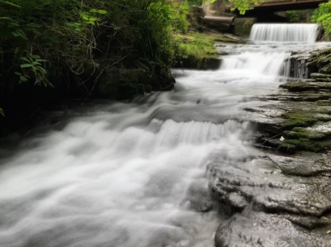 Saunders Springs Nature Preserve-Radcliff必去景点